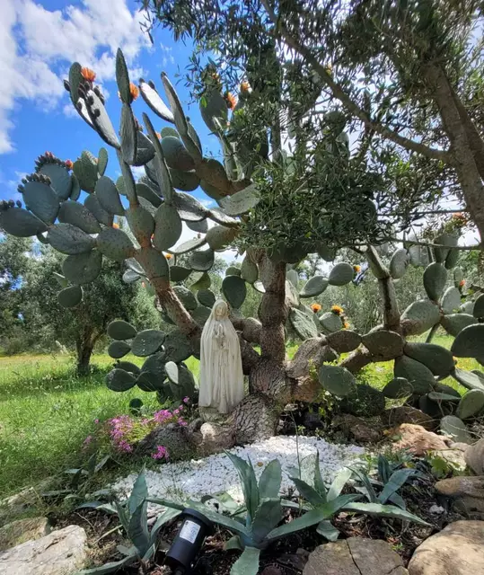 Finca rústica en el Empordà, con casa de 2 dormitorios en Rabós. Disfruta de un paraíso de tranquilidad en esta propiedad única.