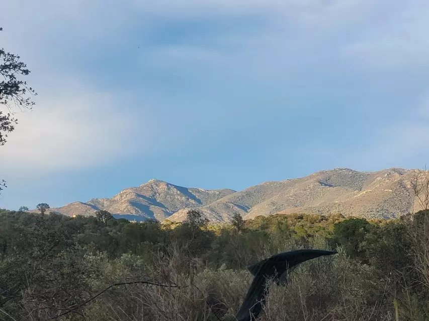 Finca rústica en el Empordà, con casa de 2 dormitorios en Rabós. Disfruta de un paraíso de tranquilidad en esta propiedad única.