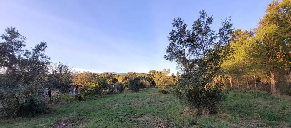 Finca rústica a l'Empordà, amb casa de 2 dormitoris a Rabós. Gaudeix d´un paradís de tranquil·litat en aquesta propietat única.