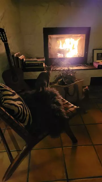 Propriété rustique de dans l'Empordà, avec une maison de 2 chambres à Rabós. Profitez d'un paradis de tranquillité dans cette propriété unique.