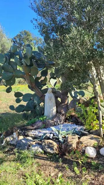 Rustikales Anwesen in Alt Emporda in der Nähe des Jakobs-weg